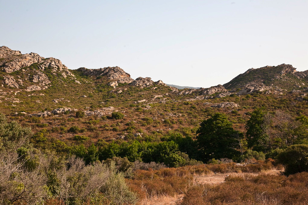 Maquis, Saint-Florent